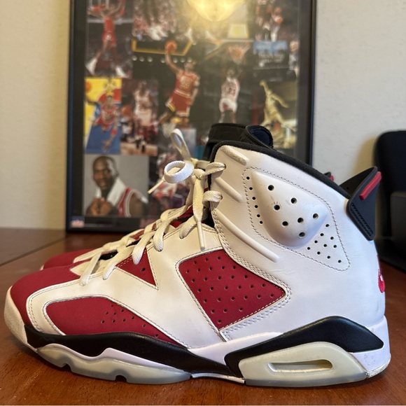 mens jordan carmine 6
